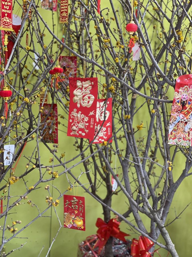 Traditional red envelopes exchanged during Lunar New Year.