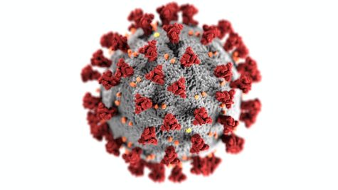 Fauci Warns of New Severe Senioritis Variant (Satire)