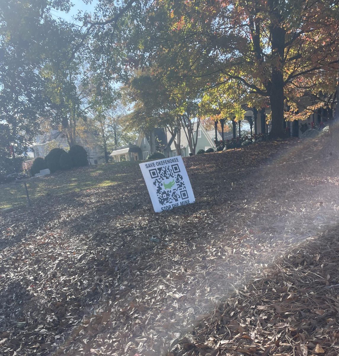 Sign Titled "Save the Okefenokee Swamp"